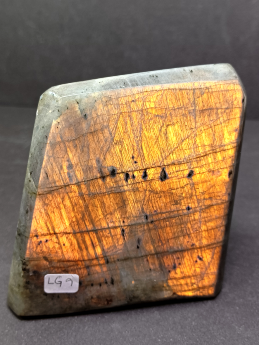 Golden Labradorit  - Free form - LG9