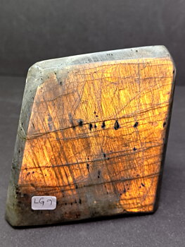 Golden Labradorit  - Free form - LG9