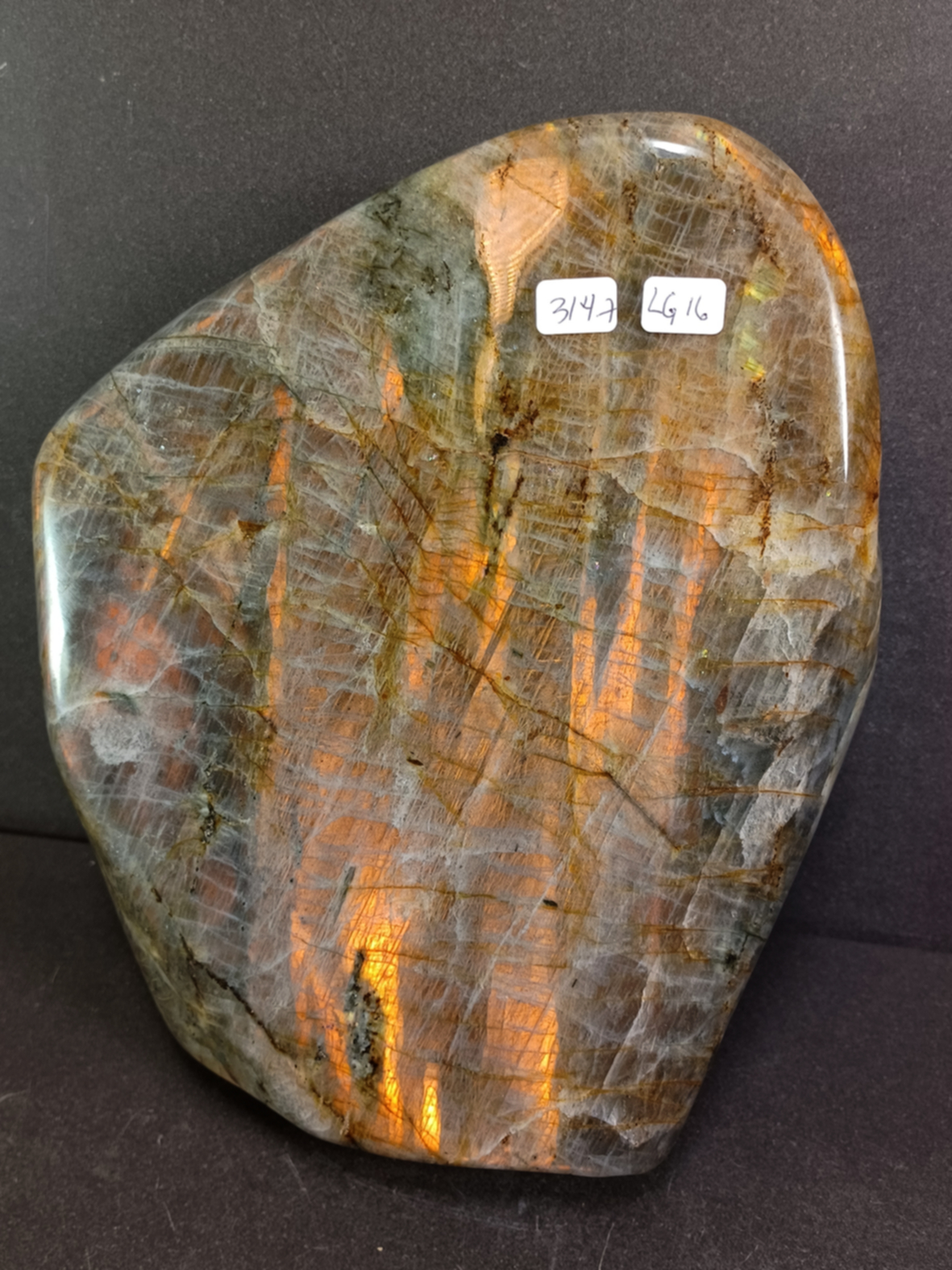 Golden Labradorit  - Free form - LG16