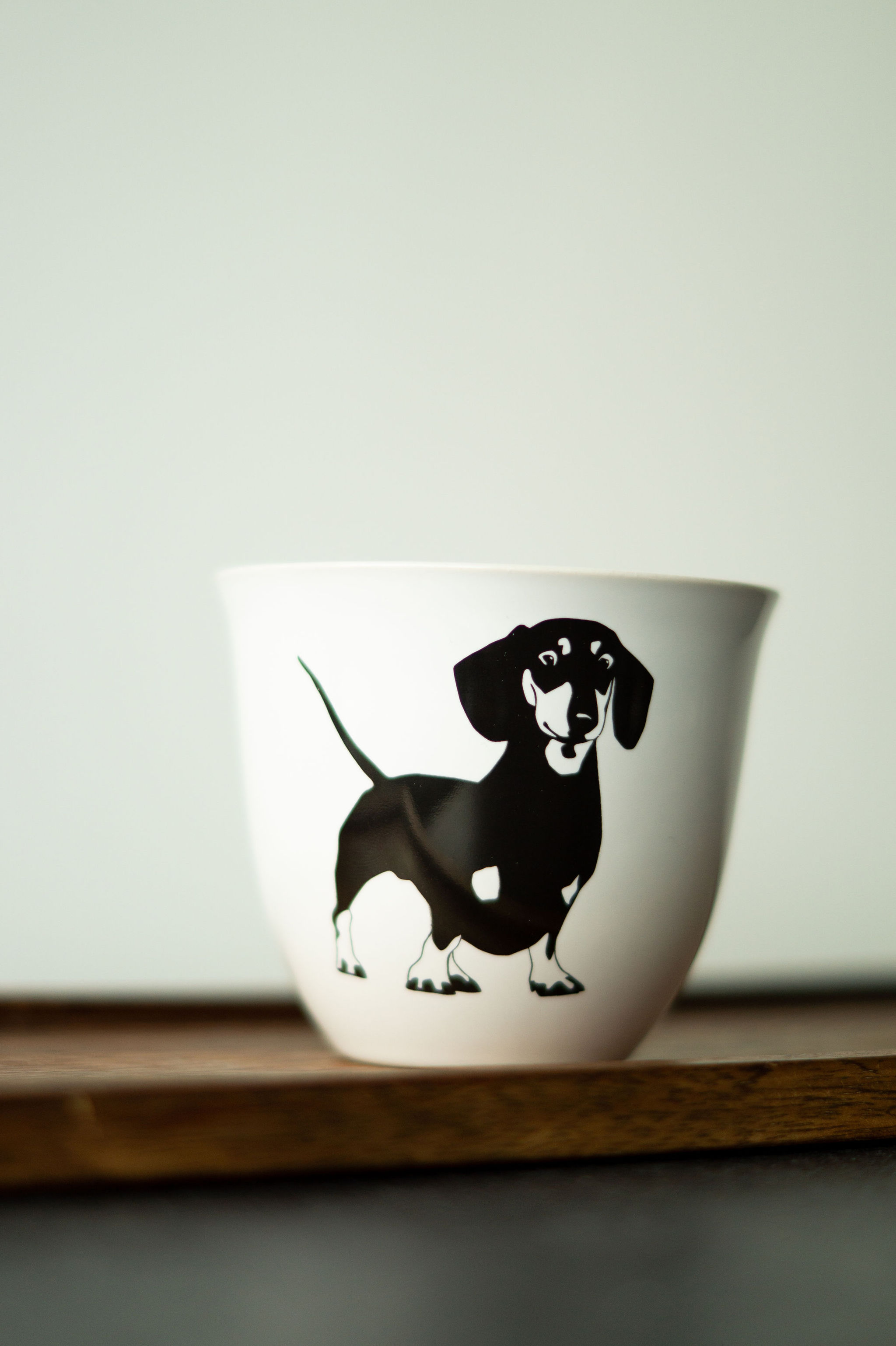 Mugg - 2