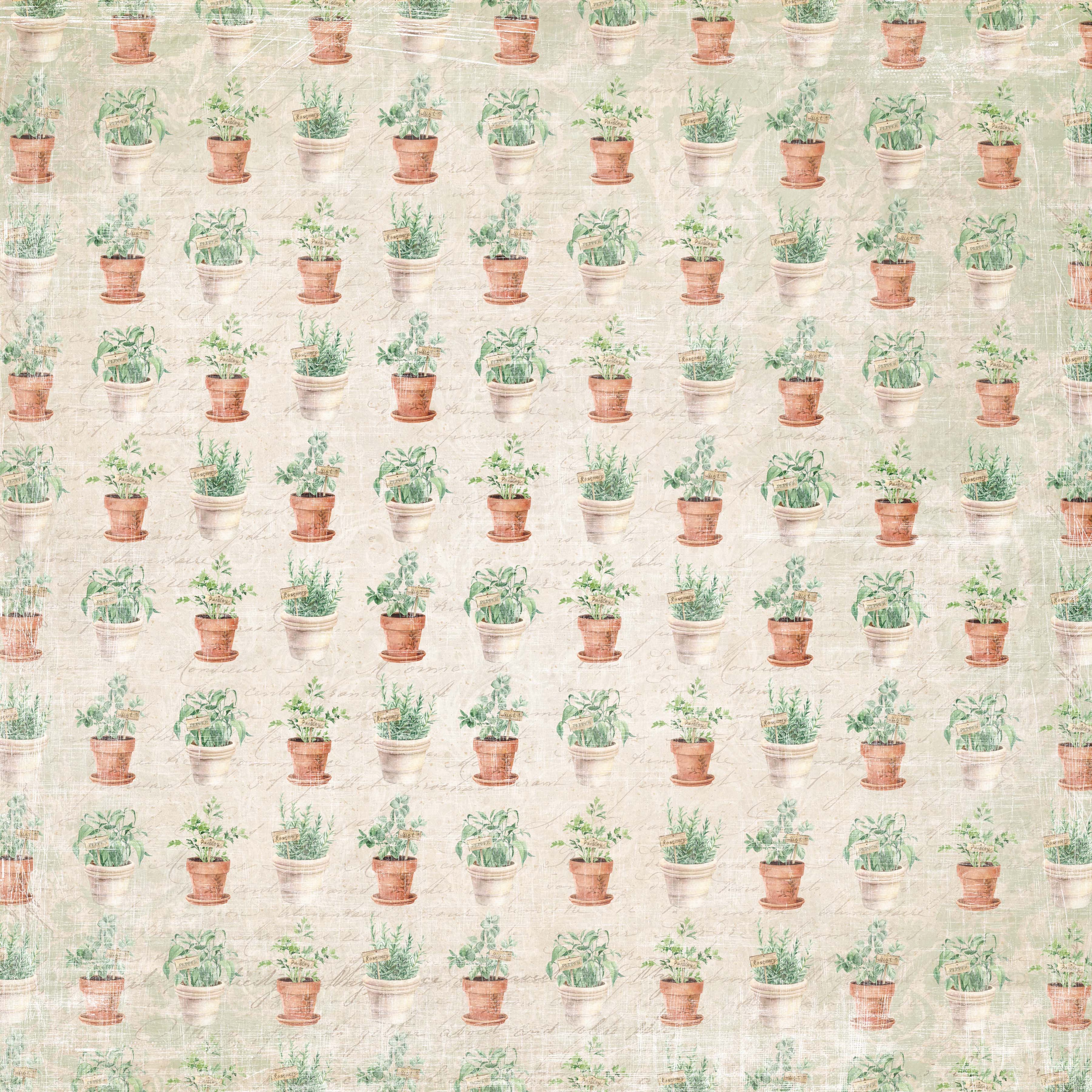 Papper Scrapbooking  Reprint - Herbs - 12x12 (30,5 x 30,5 cm)