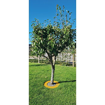 Trädring platt rost 60cm