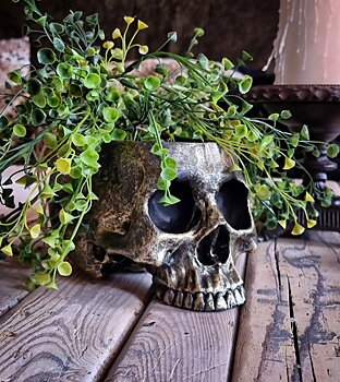 Dekoration / Kruka - Skull Gold Metallic