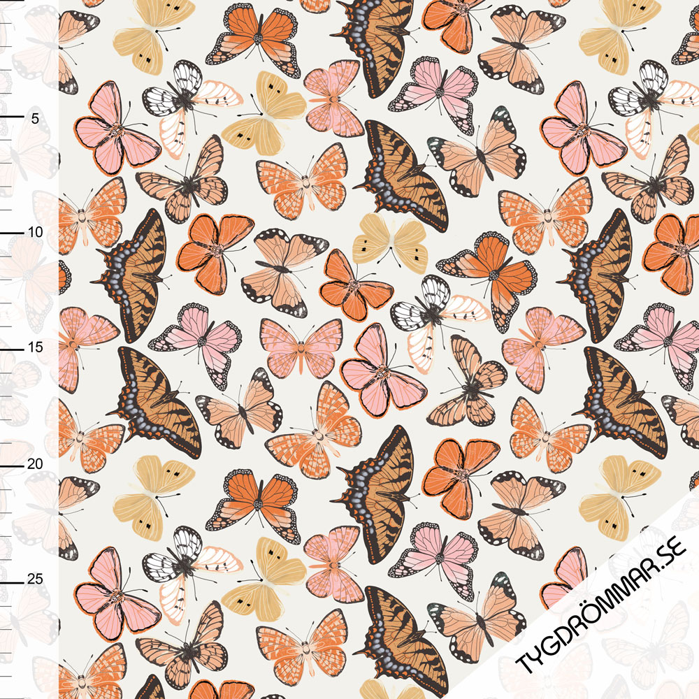SUMMER BUTTERFLIES