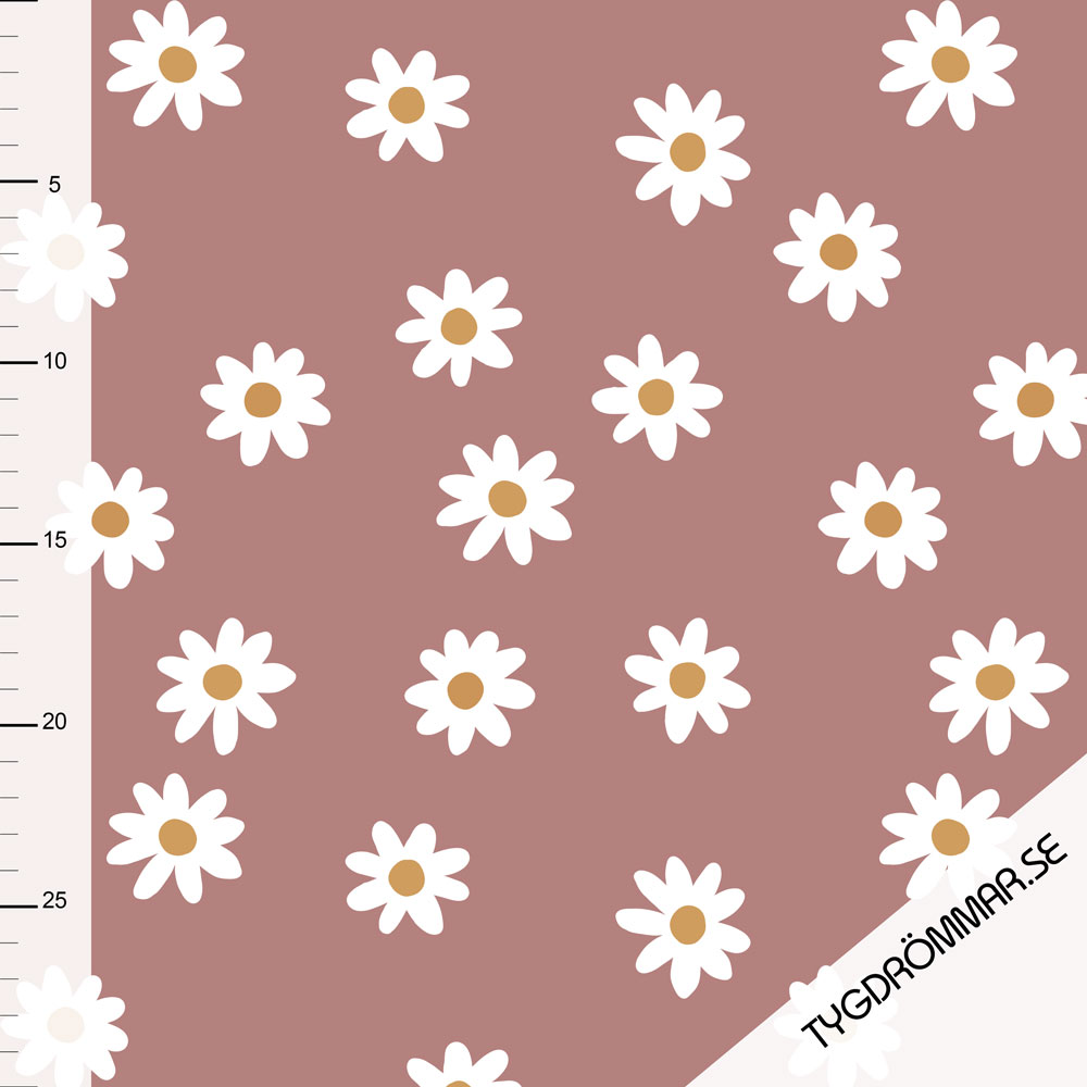 DAISY - ROSE