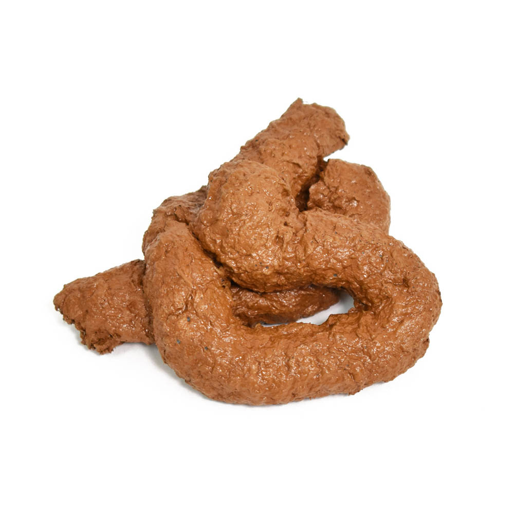 Dog poop