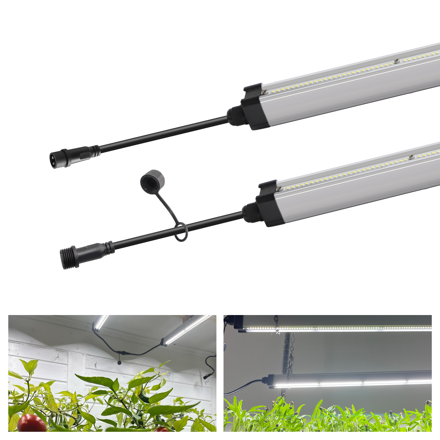 GrowFast LED 2x42W IP65  - 4