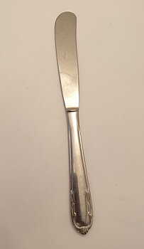 Florida butter knife
