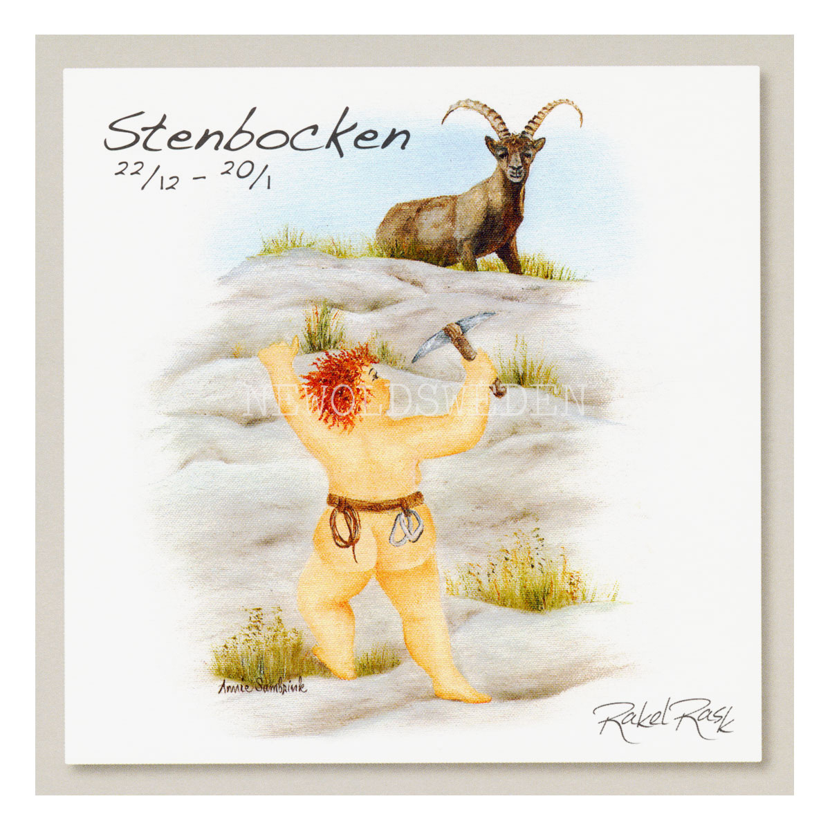 Stenbocken 22/12 - 20/1 - Rakel Rask Konstkort - 751 - 6