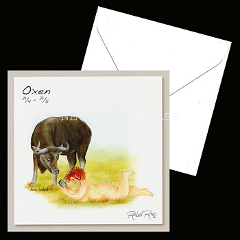 Oxen 21/4 - 21/5 - Rakel Rask Konstkort - 751