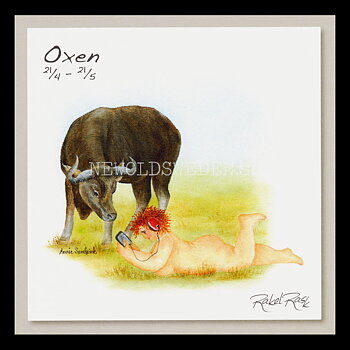 Oxen 21/4 - 21/5 - Rakel Rask Konstkort - 751