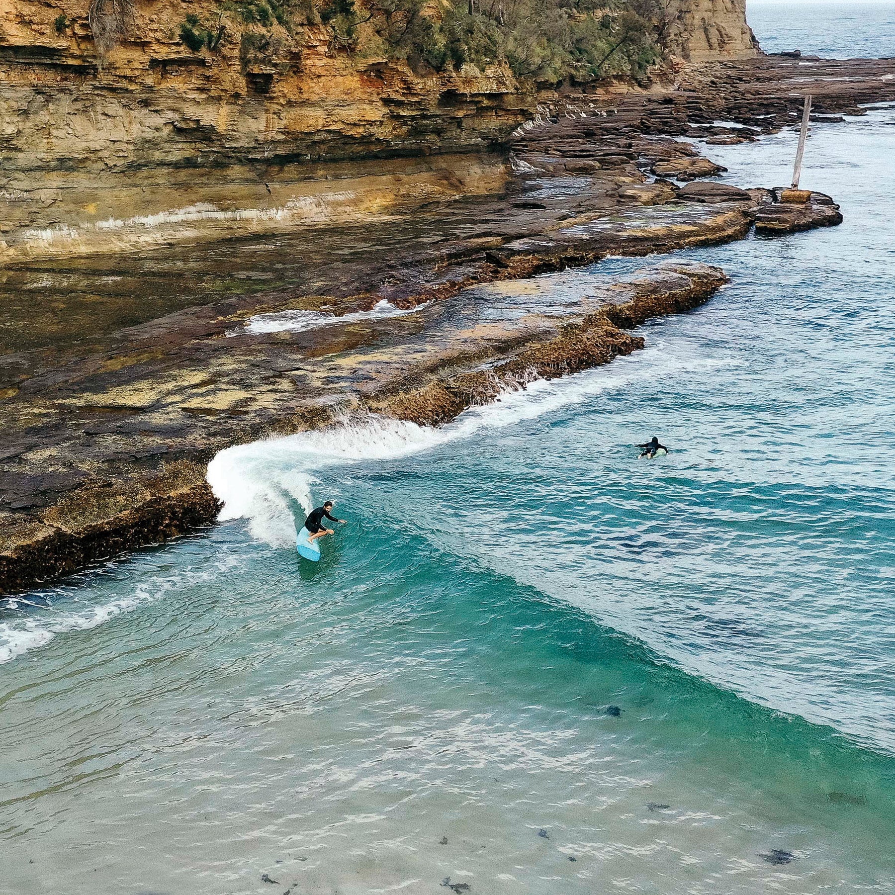 Ocean & Earth Ezi Rider Log Dog 9.0