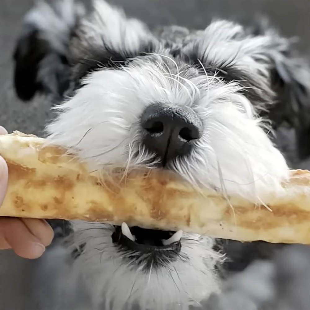 No-hide chewing bone - 4