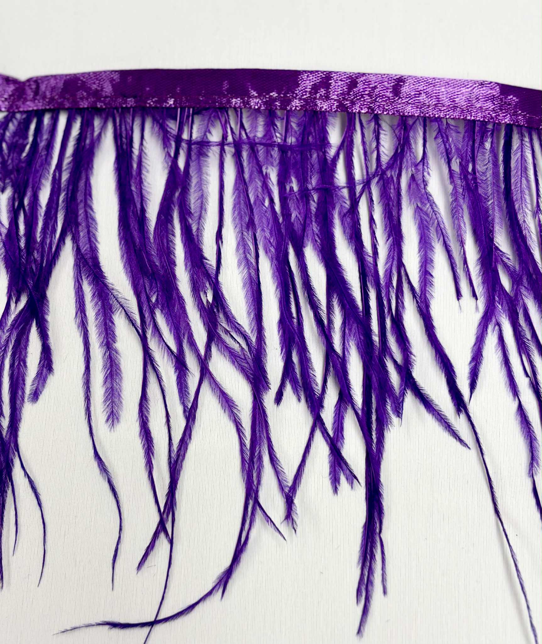 STRUTSFJÄDERFRANS - purple