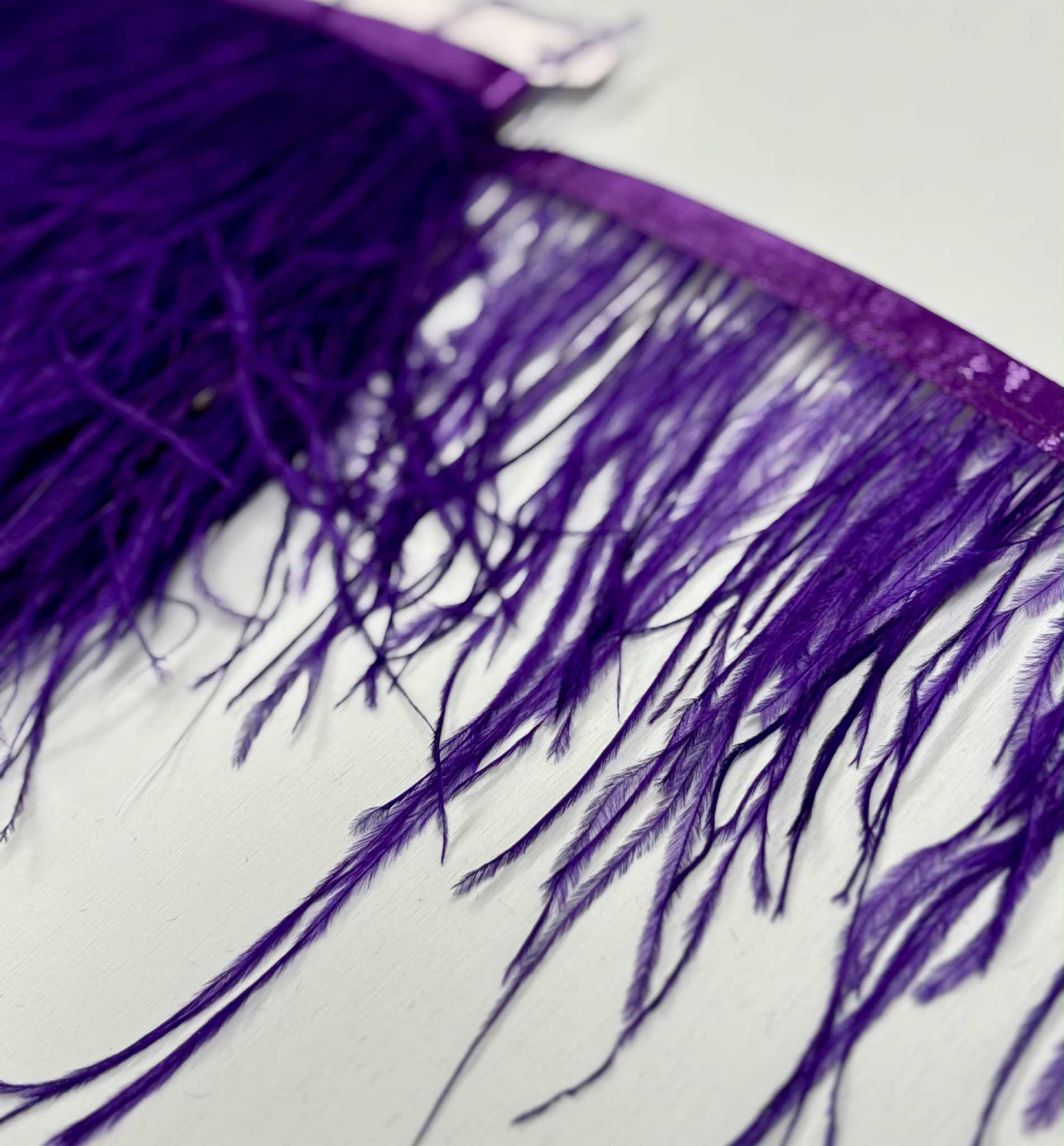 STRUTSFJÄDERFRANS - purple - 2