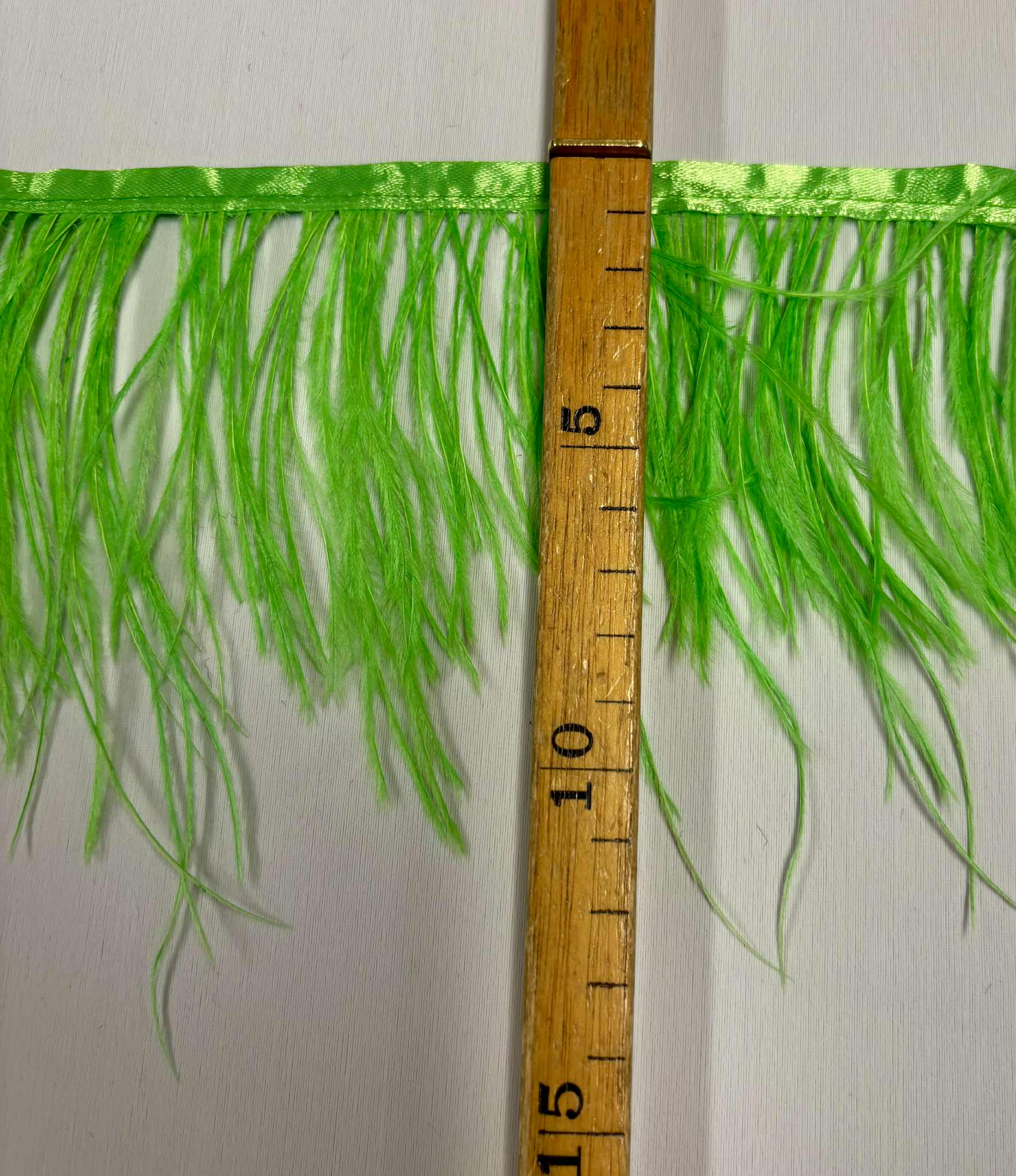 STRUTSFJÄDERFRANS - neongrön - 3