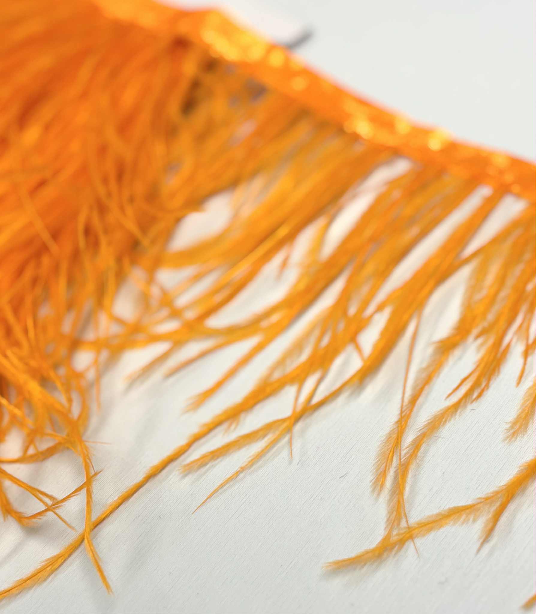 STRUTSFJÄDERFRANS - orange