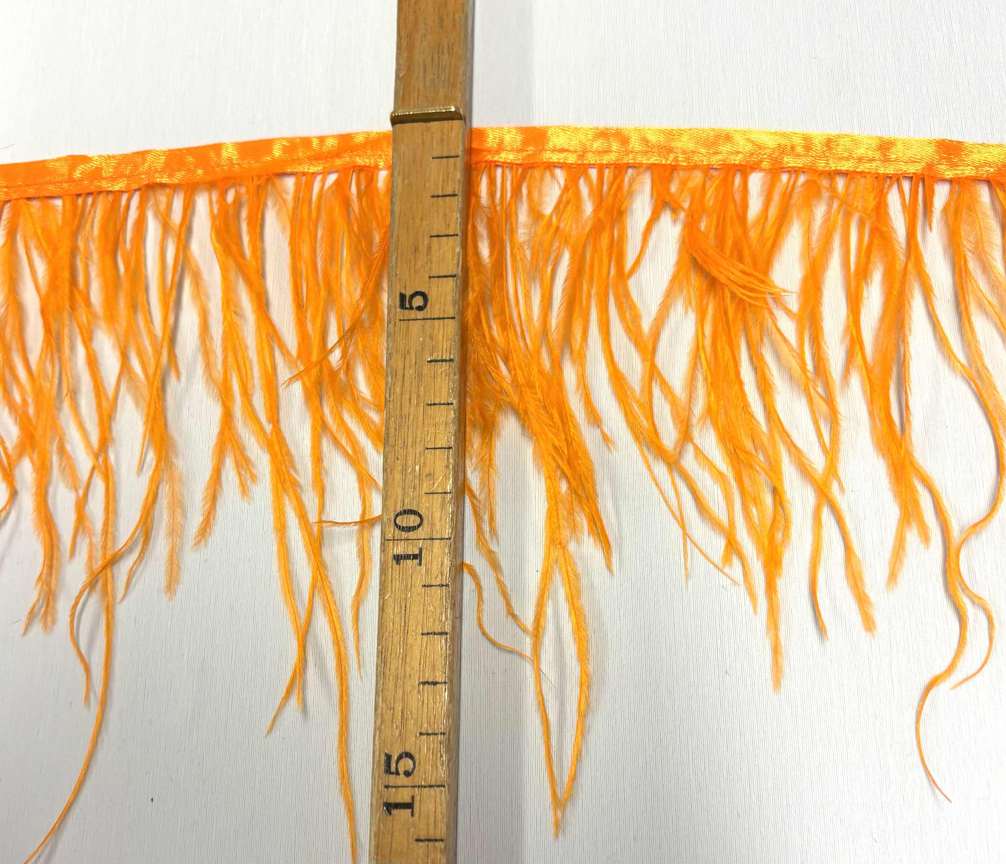 STRUTSFJÄDERFRANS - orange - 2