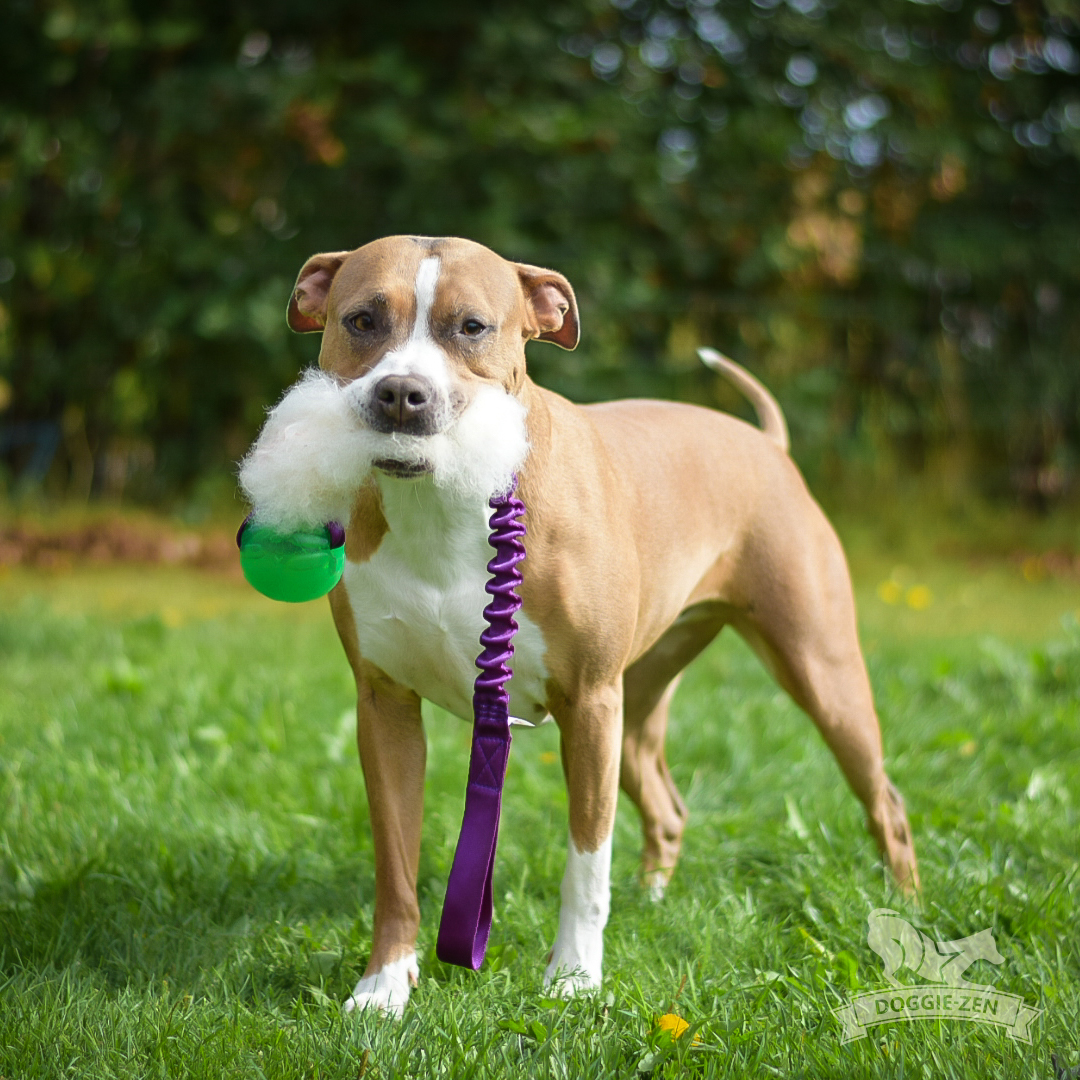 Bungee Sheepskin Tug L with Funball - 2