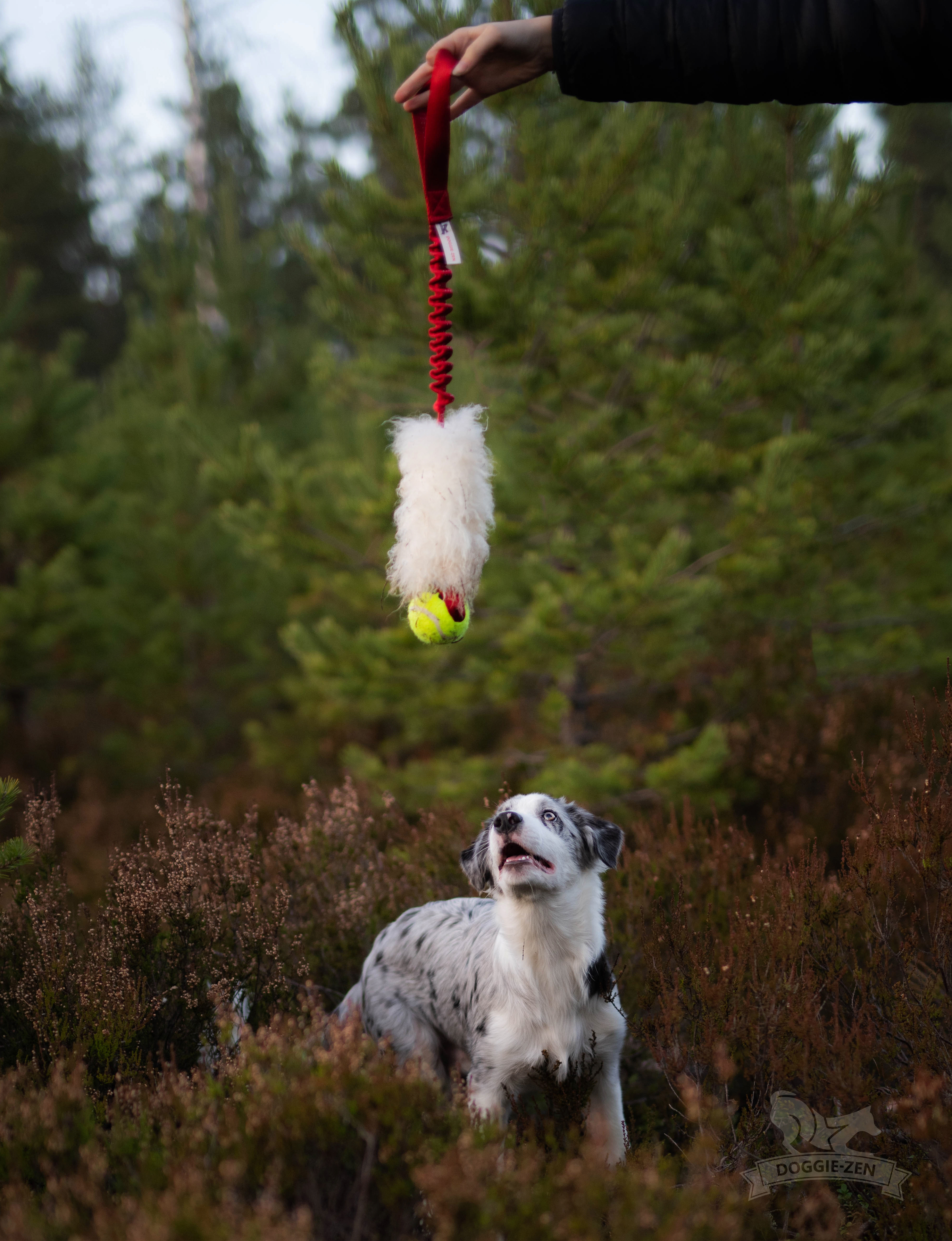 Bungee Sheepskin Tug L with KONG Air Squeaker Ball
