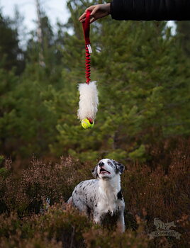 Bungee Sheepskin Tug L with KONG Air Squeaker Ball