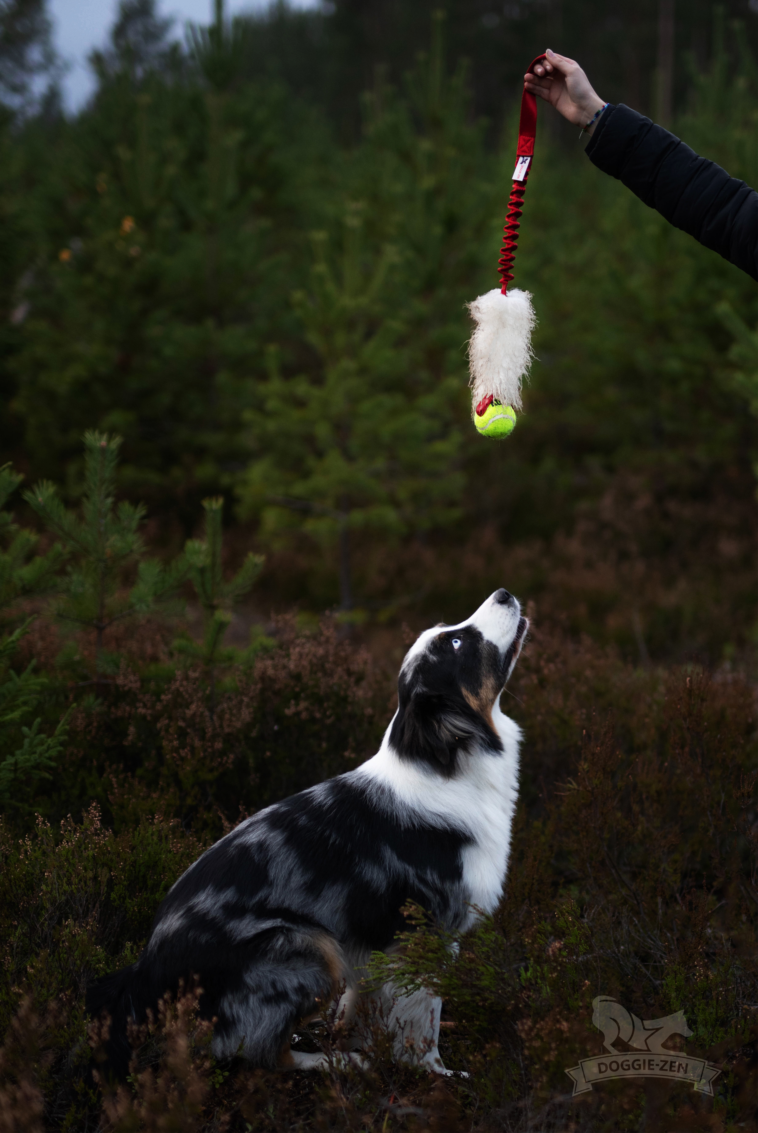 Bungee Sheepskin Tug L with KONG Air Squeaker Ball - 3