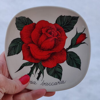Rosa Baccara väggtallrik  från Arabia