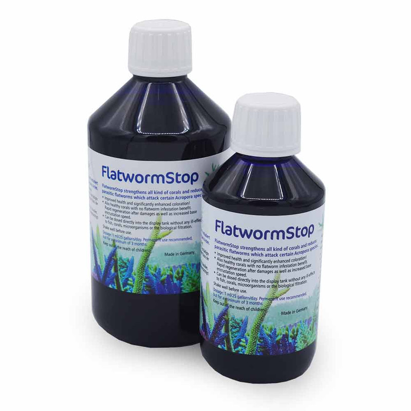 Korallen Zucht Flatworm Stop