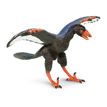 Archaeopteryx  8 cm-  Safari 