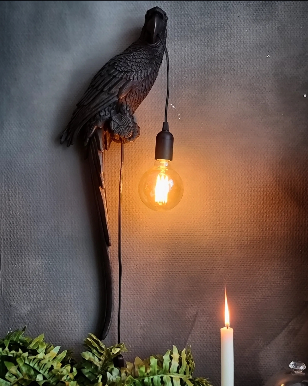 Vägglampa - Black Parrot - 4