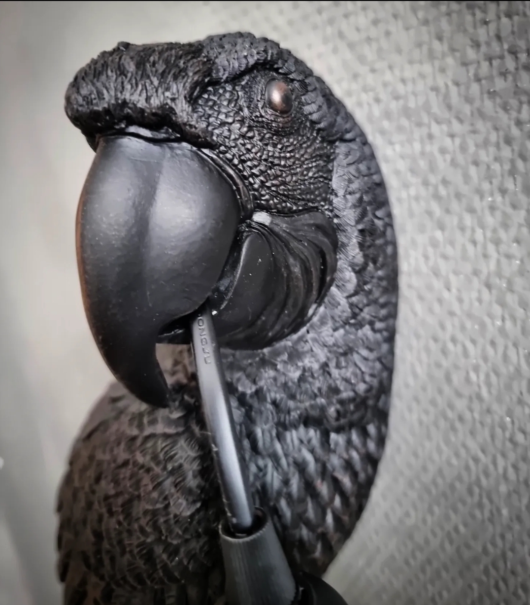 Vägglampa - Black Parrot - 3