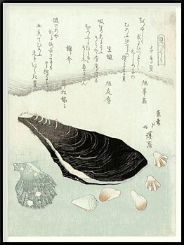Tavla Oyster inkl. ram
