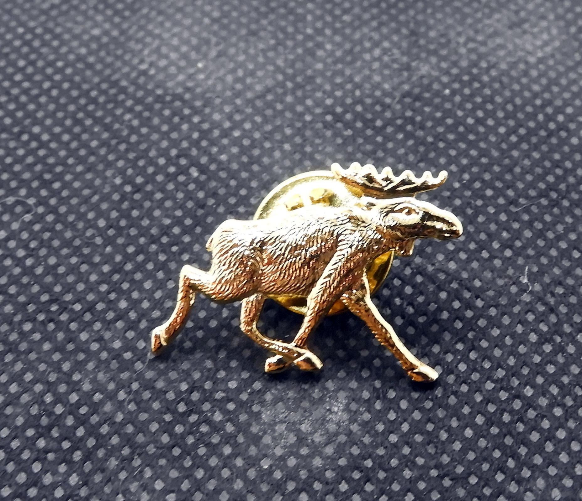 Pin Gold Älg