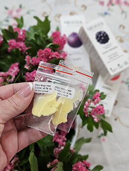 Tester -  MOSSA Organics