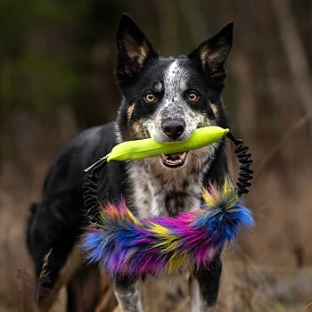 Bungee Squeaker Tube Ring Fake Fur
