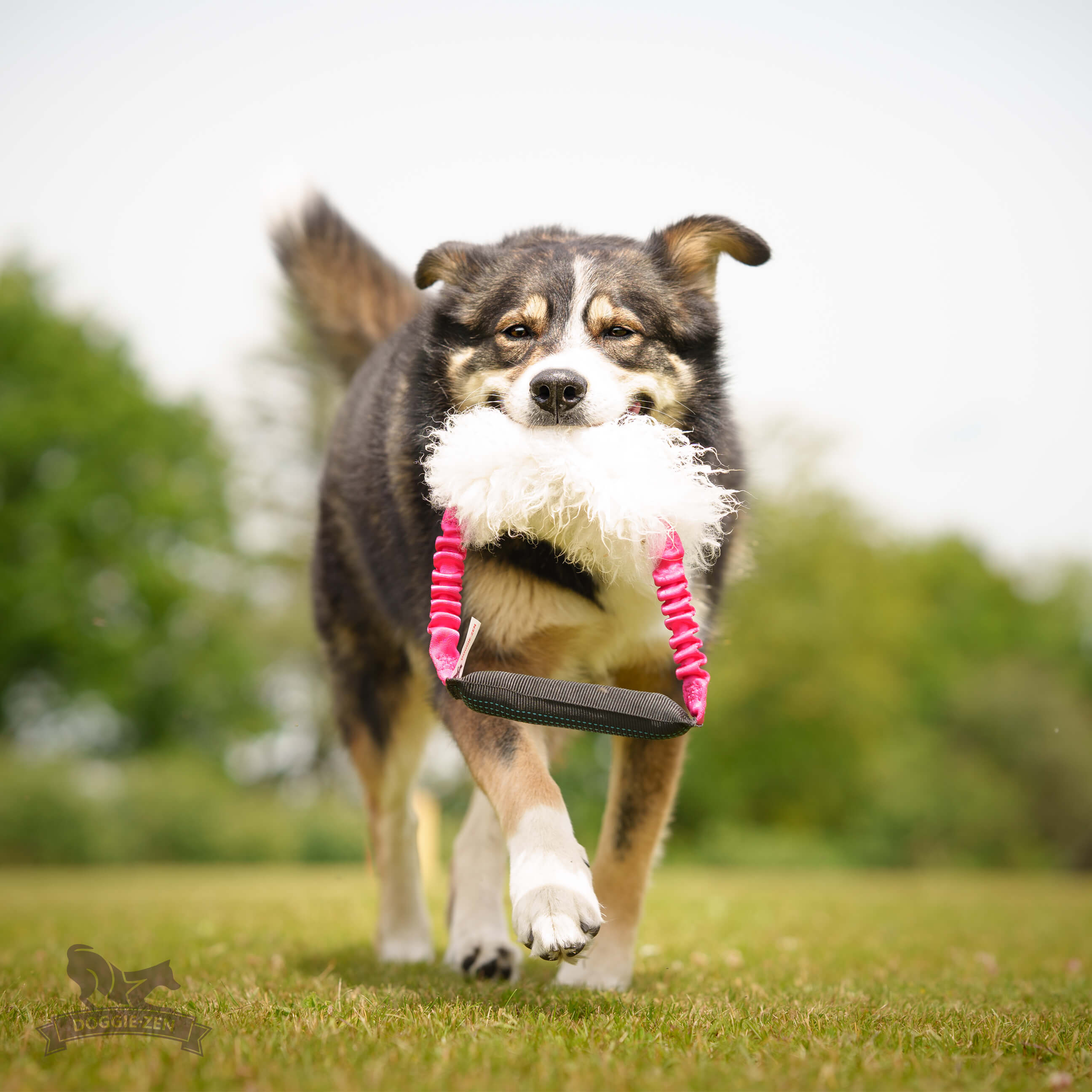 Bungee Squeaker Tube Ring Sheepskin