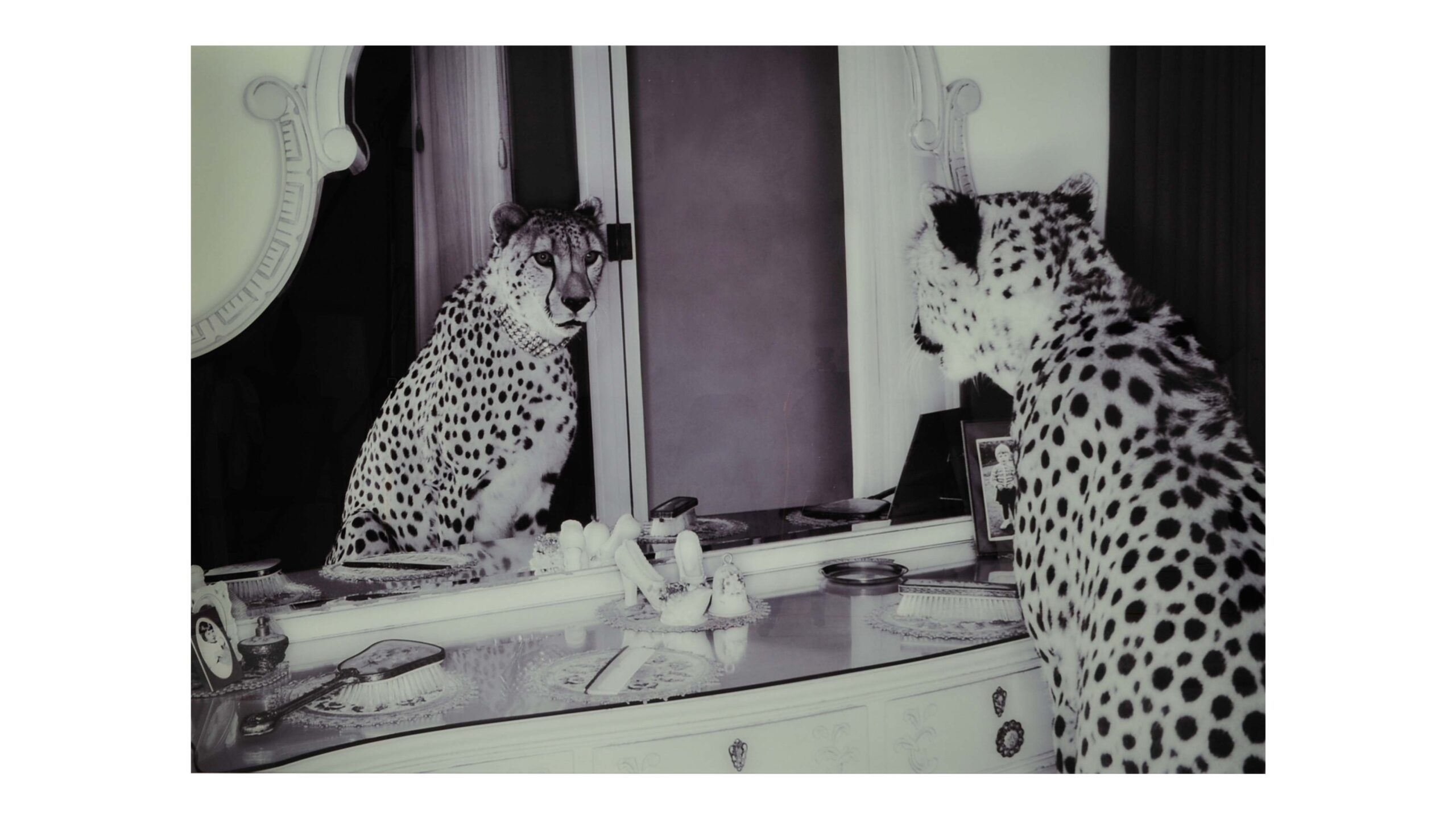 Glastavla / 100x150cm / Cheeta Mirror