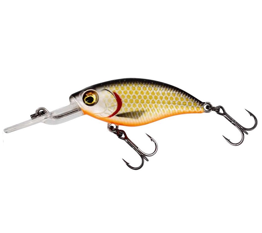 Westin BuzzBite Crankbait 6cm/10g - 4