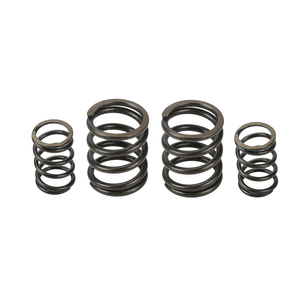 Valve springs "heavy duty"