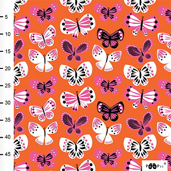 BUTTERFLIES - ORANGE