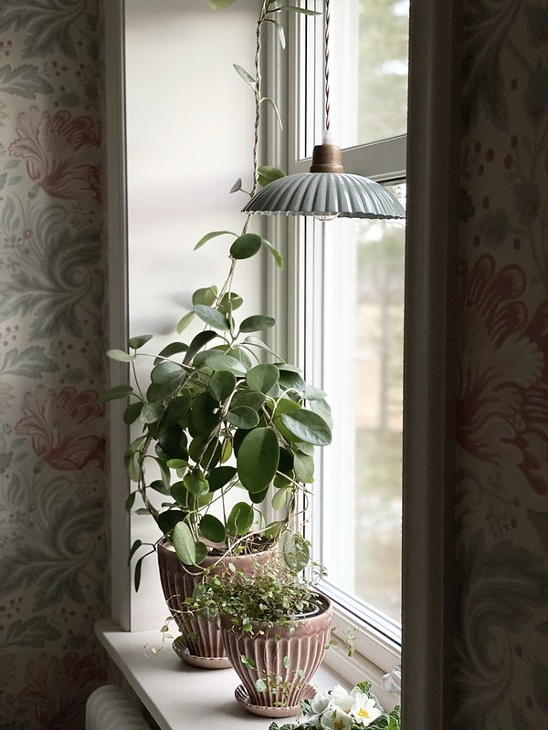 Taklampa - Lampa - Emalj - Grön - Large
