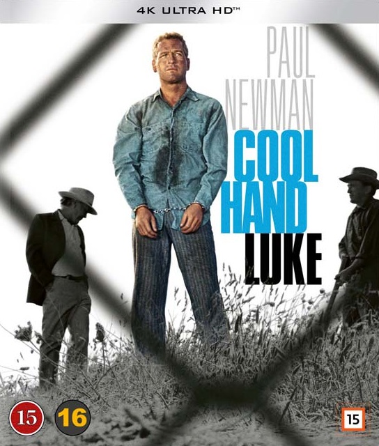 Cool Hand Luke (4K Ultra HD)