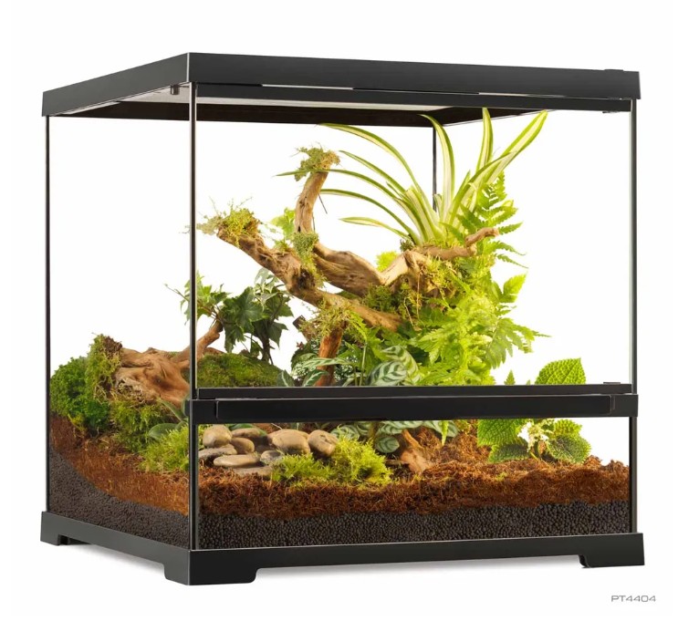 Terrarium Small Wide Exoterra 45x45x45 cm 