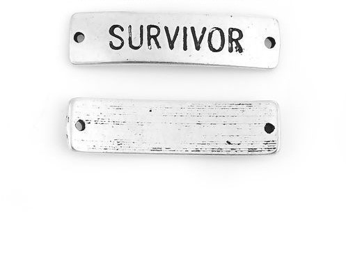 Charm/  connector , Survivor