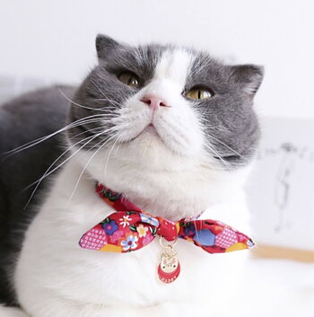 Katthalsband Rosett Rosa Sammet - SmartCat