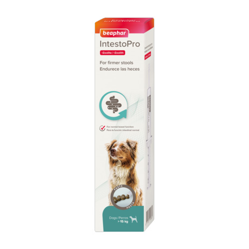 Beaphar IntestoPro Paste 