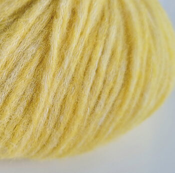 Snefnug Citrongul