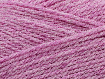 Pernilla - 829 Rosa