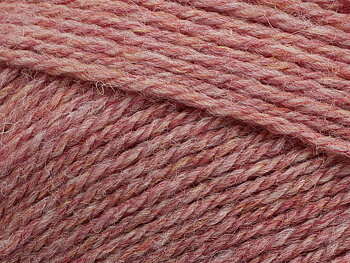 Pernilla - 830 Rostrosa