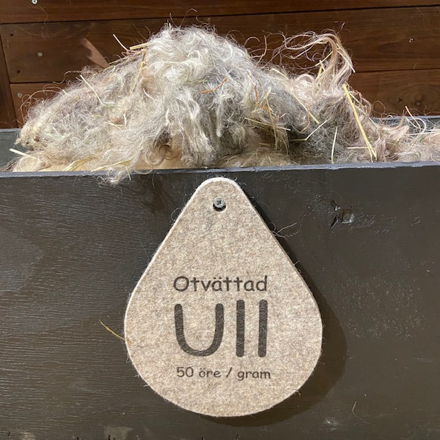 Otvättad Gotlandsull